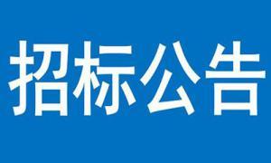 文達碧城府住宅小區(qū)建設(shè)項目Ⅱ期售樓部及1#、2#樓商業(yè)幕墻工程 競爭性談判公告